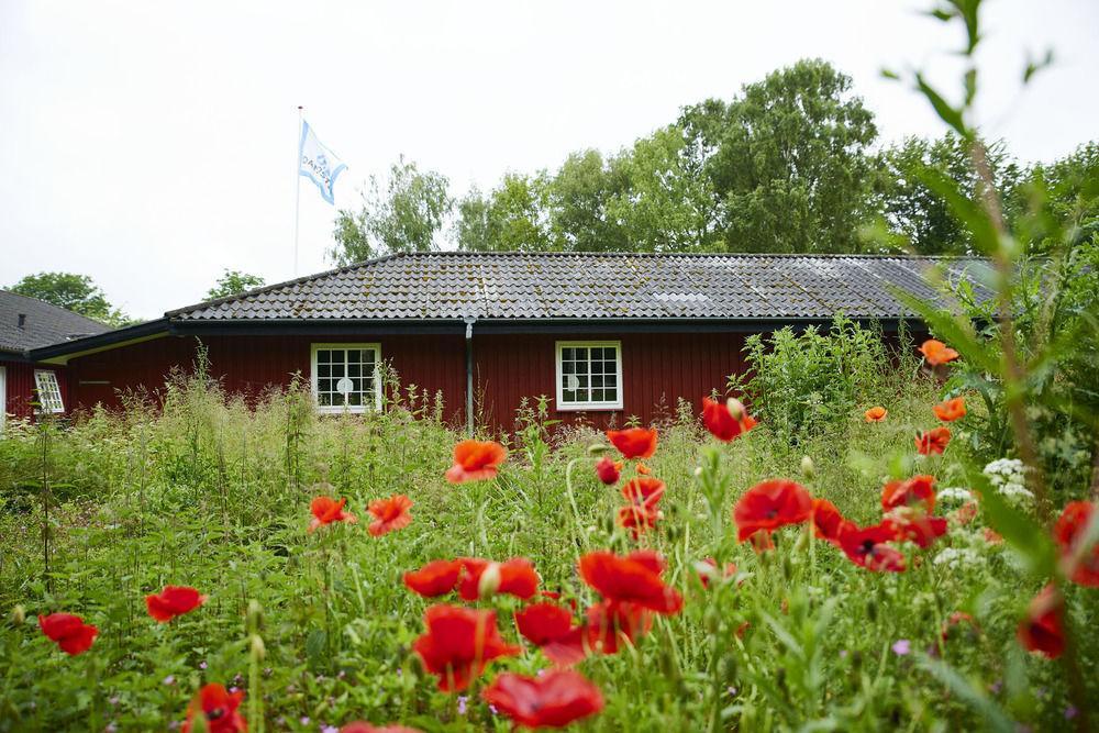 Kerteminde Hostel Eksteriør bilde